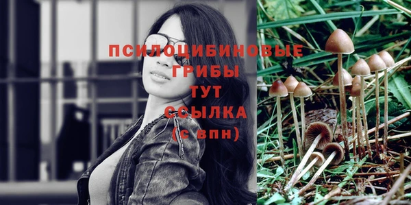 бошки Белоозёрский