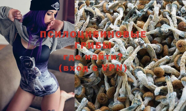 амф Белокуриха