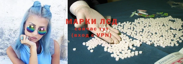 гашик Беломорск